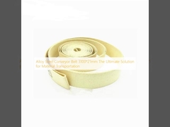 Băng tải băng tải garniture 3100*21mm Giải pháp tối ưu cho việc vận chuyển vật liệu